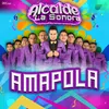 About Amapola Song