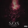 About S.O.S Song