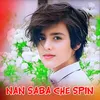 Nan Saba Che Spin
