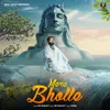 About Mere Bholle Song