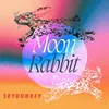 About Moon Rabbit Song