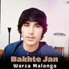 About Warza Malanga Song