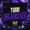 About TUDO ORGANIZADO Song