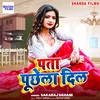 About Pata Puchela Dil Song