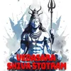 Vedasara Shiva Stotram