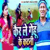 About Kar Le Gehu Ke Katni Song