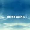 About 爱你我不会说再见 Song