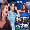 About Dil Hamar Tohre Ke Chahe Song