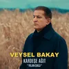 About KARDEŞE AĞIT Song
