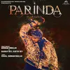 About Parinda Paar Geyaa Song