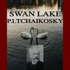 About Swan Lake (Theme): Swan Lake Song