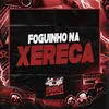 About FOGUINHO NA XERECA Song