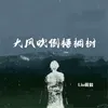 About 大风吹倒梧桐树 Song