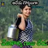 About Chethikokka Gaju Song