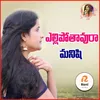 About Yellipothavura Manishi Song