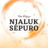 About Njaluk Sepuro Song