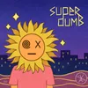 About Super Dumb Song