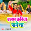 About Balam Kariya Paye Na Song