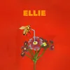 About ELLIE Song