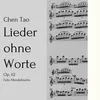 Lieder ohne Worte, Op. 62: III. Andante maestoso