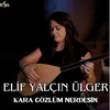 About Kara Gözlüm Nerdesin Song