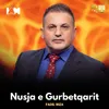 About Nusja e gurbetqarit Song