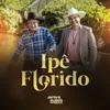 About Ipê Florido Song