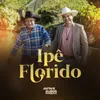 Ipê Florido