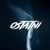 About Ostatni Song