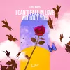 About I Can't Fall In Love Without You Song