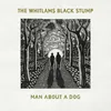 About Man About a Dog Song