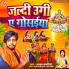 About Jaldi Ugi A Gosaiya Song