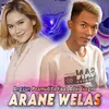 About Arane Welas Song