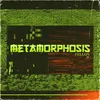 About METAMORPHOSIS Song