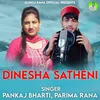 About Dinesha Satheni Song