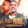 About Não Precisa Negar Song