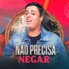 About Não Precisa Negar Song