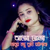 About Amar Moner Manush Bondhu Tumi Hoilana Song