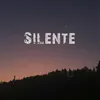 About Silente Song