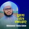 About Mukhe Boli Allah Song