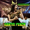 About Santri Pekok Song