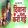 About Diwana Mala Kari Gayi Song