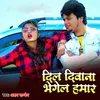 About Dil Diwana Bhegel Hamar Song