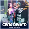 About Cinta Dimato Song