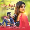 About Chadhal Jawani Song