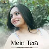 About Mein Tera Song
