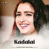 About Kadalai Song