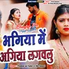 About Bhagiya Me Agiya Lagawlu Song