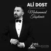 ALİ DOST