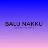 About Balu Nakku Song